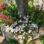 Accanto Alle Mura & Relax Couette-café Sirolo