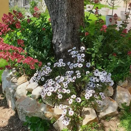 Accanto Alle Mura & Relax Oda ve Kahvaltı Sirolo