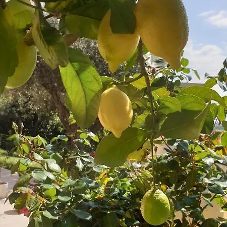 Accanto Alle Mura & Relax Bed and Breakfast Sirolo